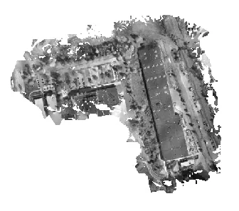 Thermal Orthomosaic