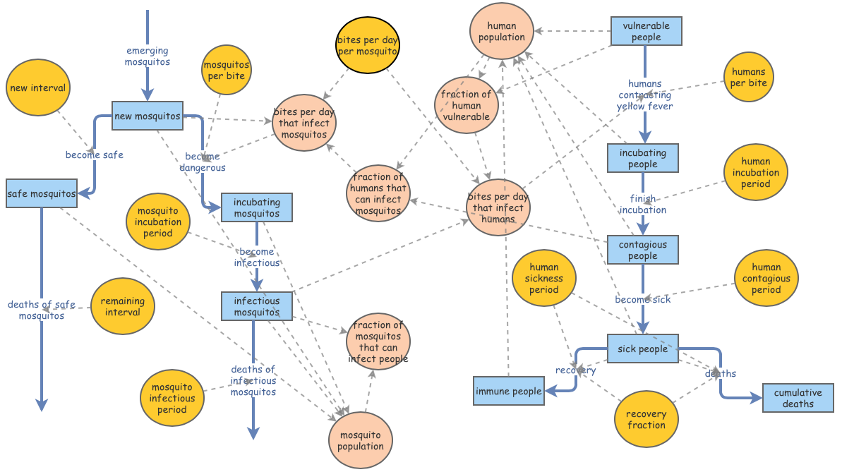 Simulating an Epidemic: Yellow Fever Modeling in Veracruz, Mexico